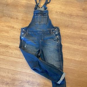 NWT Torrid Overalls *NEVER WORN*